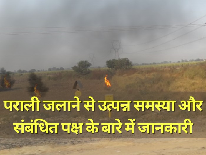 पराली जलाने से उत्पन्न समस्या Information about the problem arising out of stubble burning and related parties 