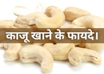 Benefits of eating cashews काजू खाने के फायदे