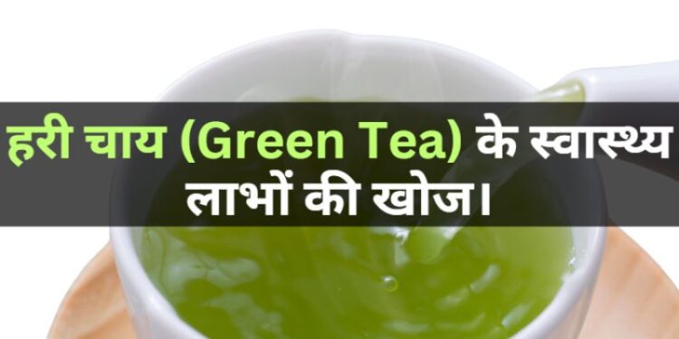 Discovering the health benefits of green tea हरी चाय के स्वास्थ्य लाभों की खोज