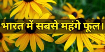 Most expensive flowers in India भारत में सबसे महंगे फूल