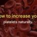 How to increase your platelets naturally
