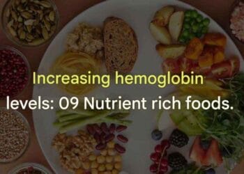 Increasing Hemoglobin Levels Nutrient Rich Foods