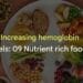 Increasing Hemoglobin Levels Nutrient Rich Foods