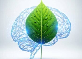 How eco friendly AI gadgets are shaping a sustainable future.