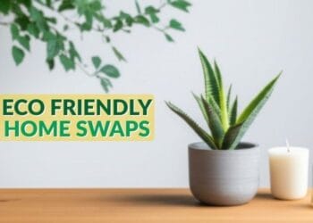 simple sustainable home swaps anyone can try