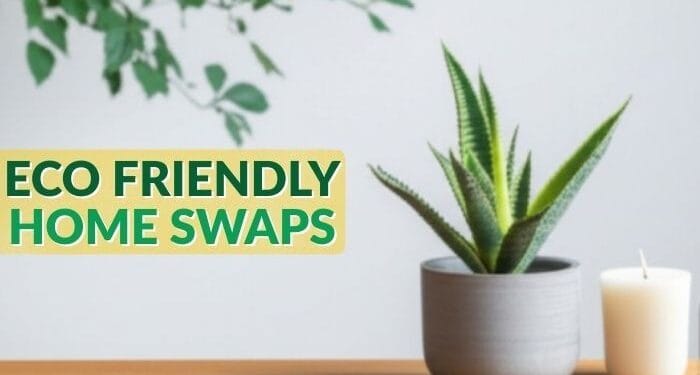 simple sustainable home swaps anyone can try