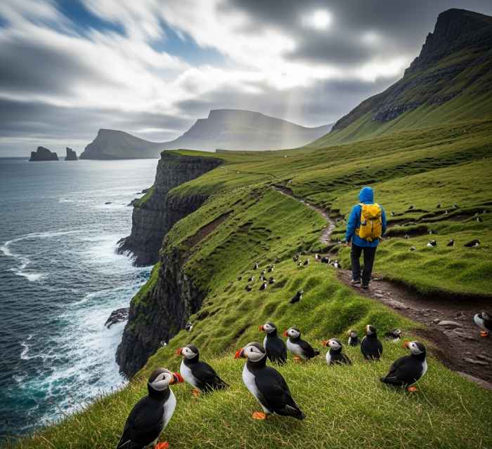 Hiker on a cliffside path surrounded by puffins in the Faroe Islands.