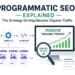 Programmatic SEO strategy for creating scalable, search-optimized pages that drive massive organic traffic through automation and targeted keywords.