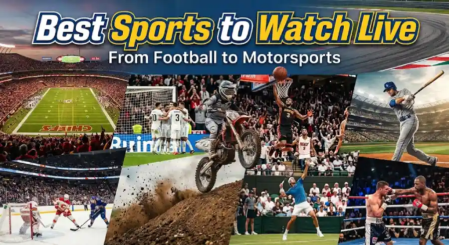 30 Best Sports to Watch Live in the USA: From Football to Motorsports